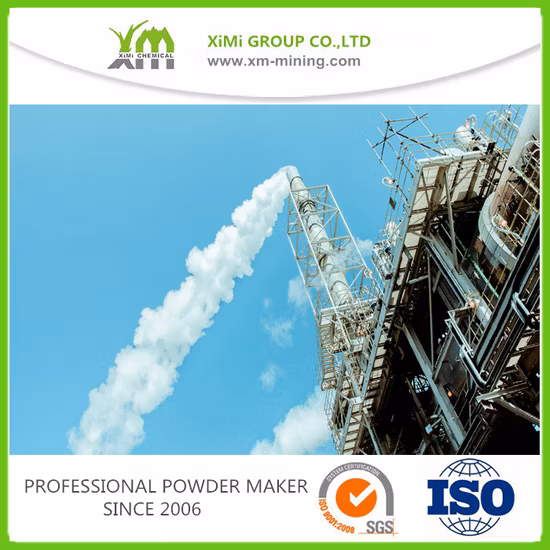 Boutique Lever Sulfate de baryum hautement précipité pour la peinture intérieure et extérieure